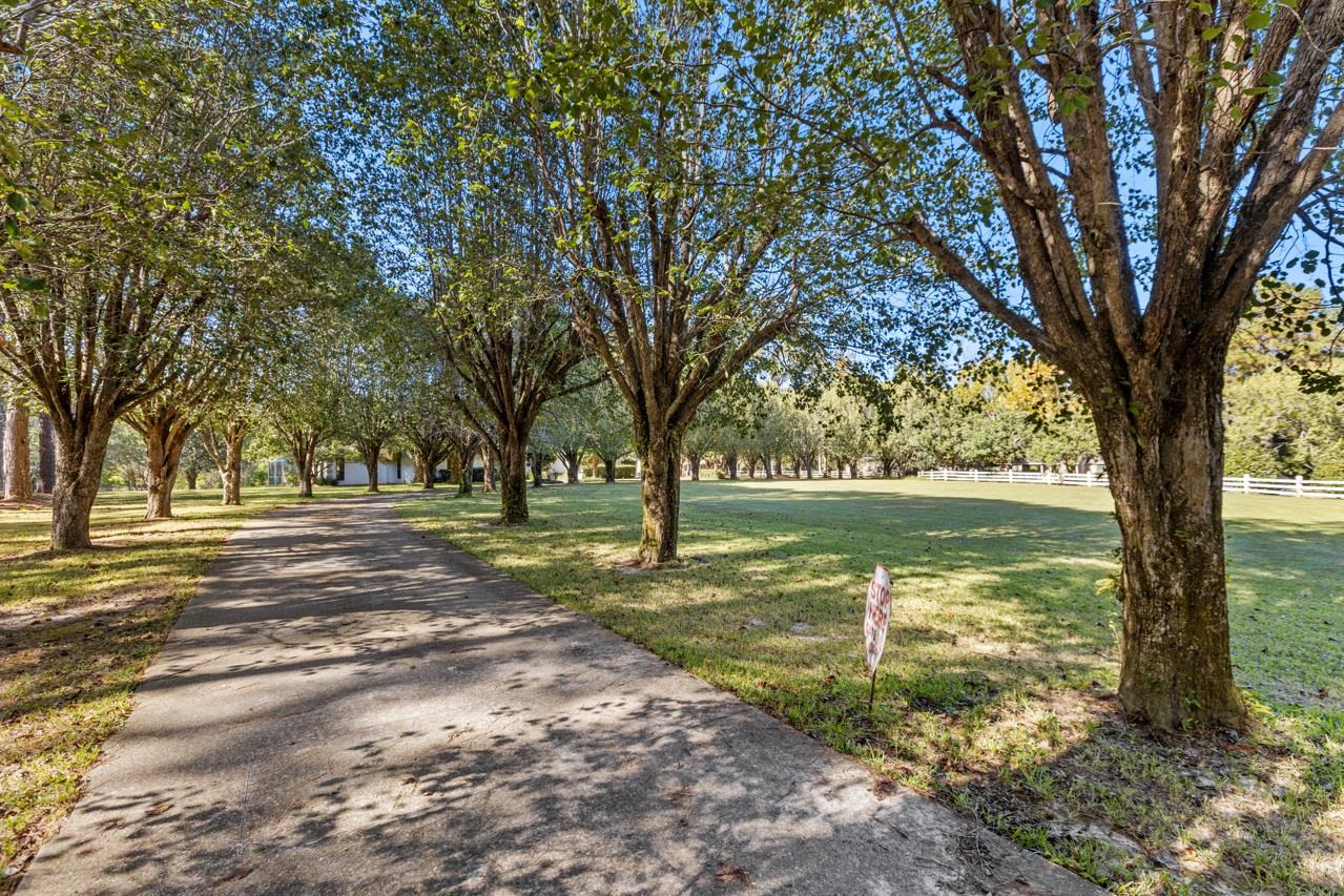 6069 THACKERAY Lane,TALLAHASSEE,Florida 32309,4 Bedrooms Bedrooms,2 BathroomsBathrooms,Detached single family,6069 THACKERAY Lane,368959