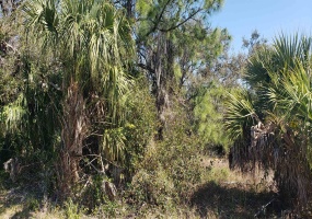 126 Grandmont St,OTHER FLORIDA,Florida 33954,Lots and land,Grandmont St,369913