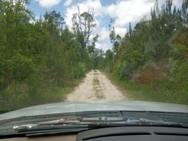 1155 Rich Bay Road,HAVANA,Florida 32333,3 Bedrooms Bedrooms,2 BathroomsBathrooms,Manuf/mobile home,1155 Rich Bay Road,369466