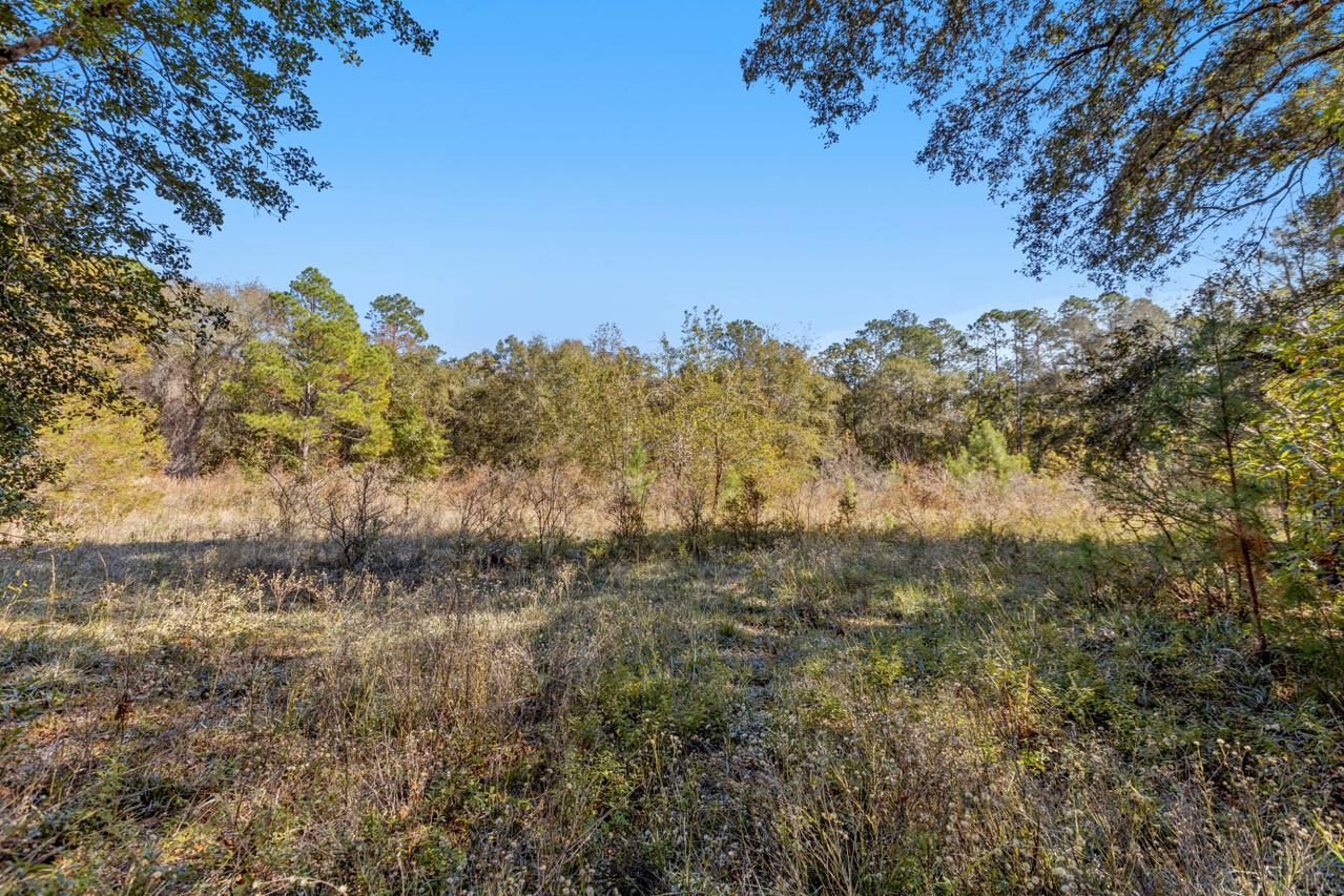 145 Crescent Moon Trail,SOPCHOPPY,Florida 32358,3 Bedrooms Bedrooms,2 BathroomsBathrooms,Detached single family,145 Crescent Moon Trail,366410