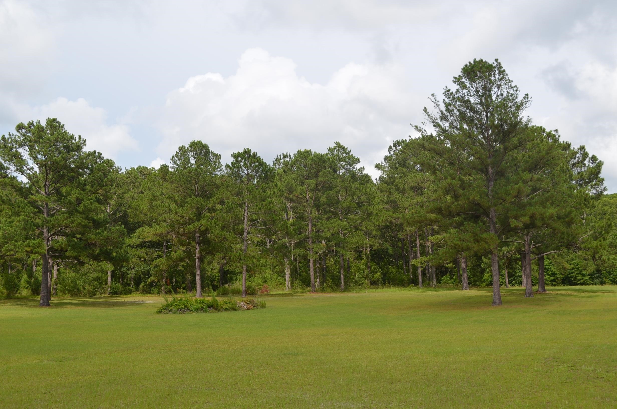 6384 Woods Creek Road,PERRY,Florida 32347,4 Bedrooms Bedrooms,2 BathroomsBathrooms,Detached single family,6384 Woods Creek Road,366414