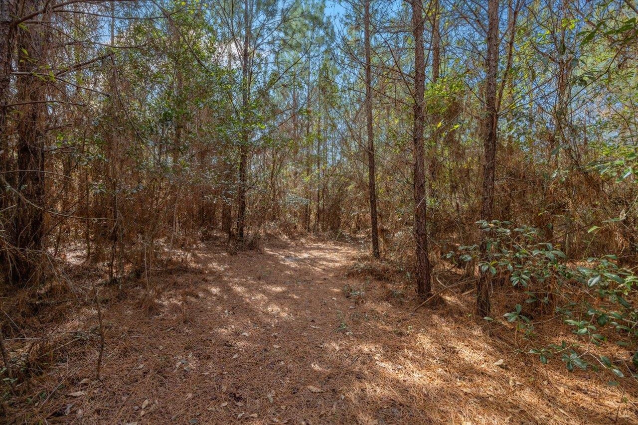 389 GATOR Crossing,QUINCY,Florida 32351,2 Bedrooms Bedrooms,2 BathroomsBathrooms,Detached single family,389 GATOR Crossing,368415