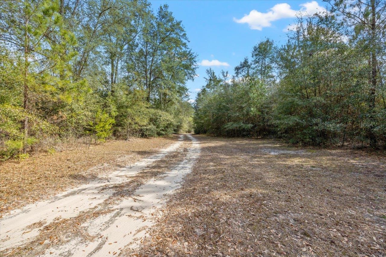 389 GATOR Crossing,QUINCY,Florida 32351,2 Bedrooms Bedrooms,2 BathroomsBathrooms,Detached single family,389 GATOR Crossing,368415