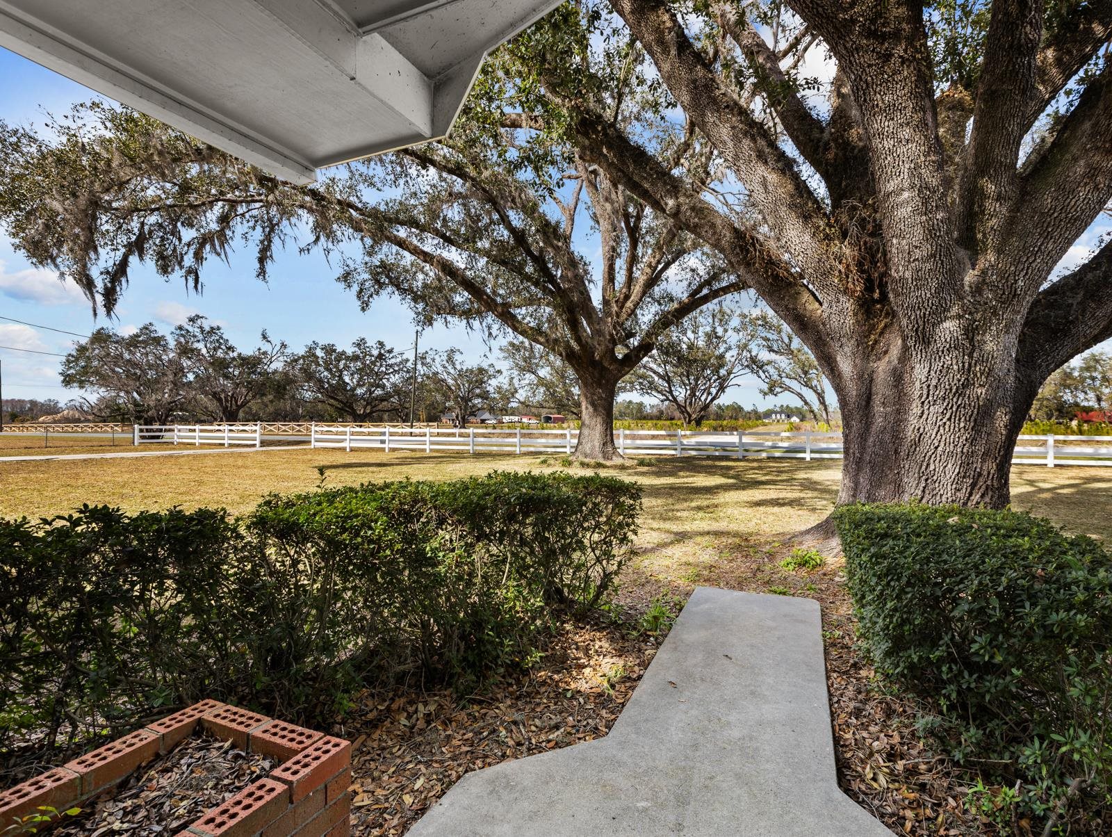 1953 Holt Road,PERRY,Florida 32348,4 Bedrooms Bedrooms,2 BathroomsBathrooms,Detached single family,1953 Holt Road,368422