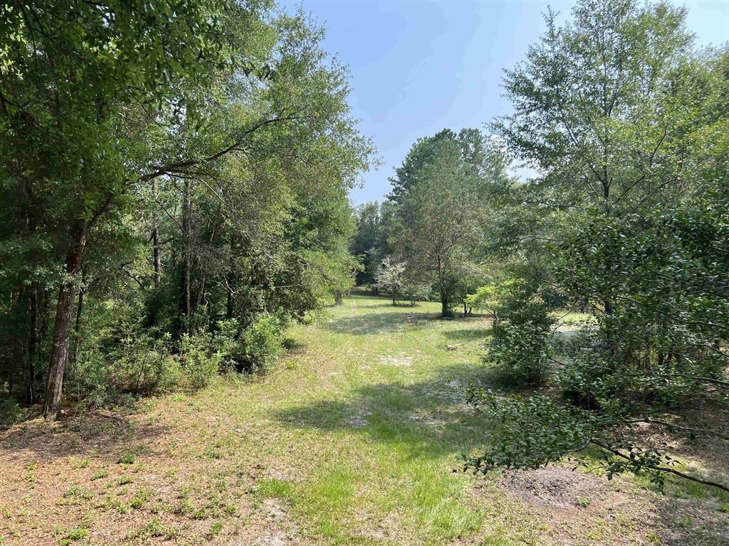 4833 Crooked Road,TALLAHASSEE,Florida 32310,1 Bedroom Bedrooms,1 BathroomBathrooms,Detached single family,4833 Crooked Road,369500