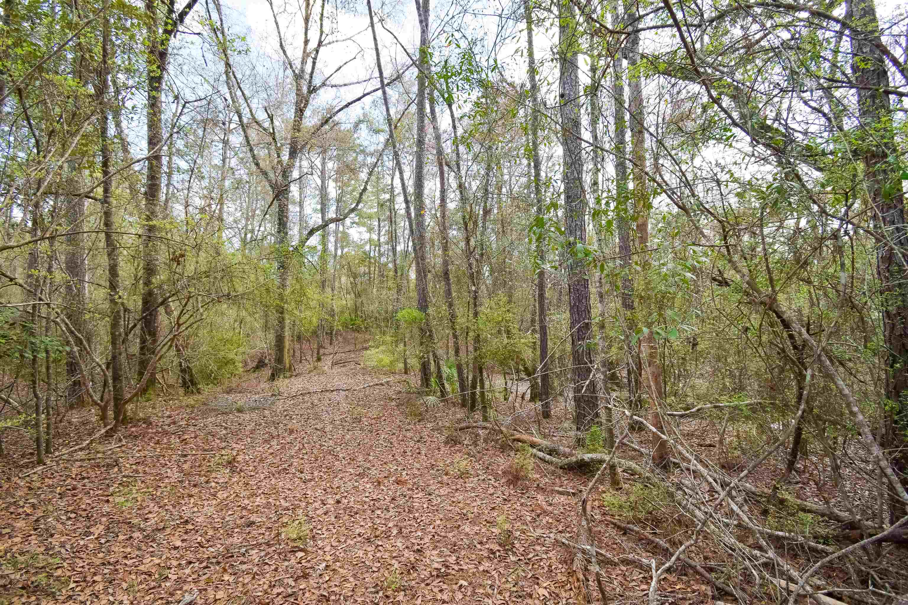 4833 Crooked Road,TALLAHASSEE,Florida 32310,1 Bedroom Bedrooms,1 BathroomBathrooms,Detached single family,4833 Crooked Road,369500