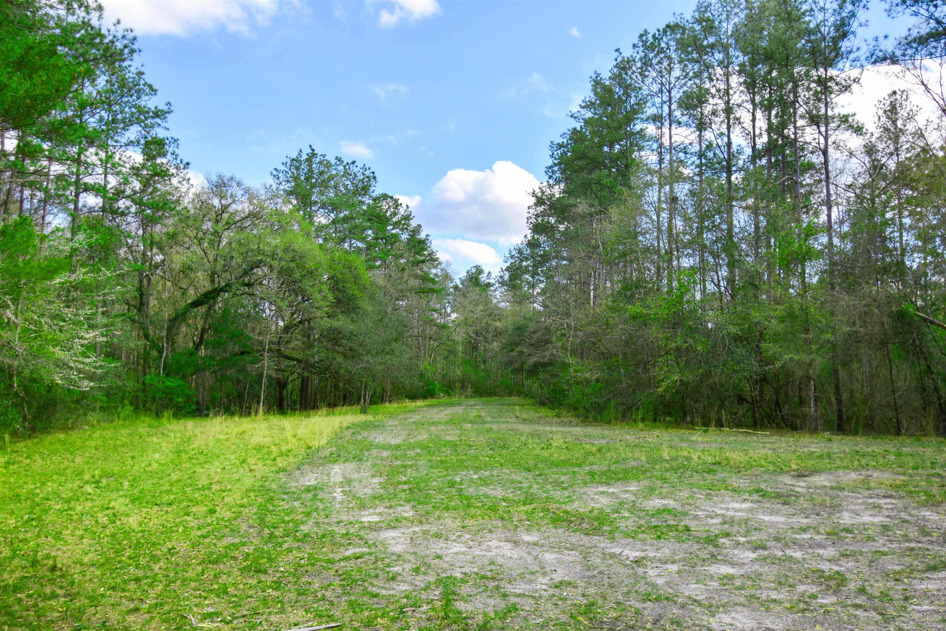 4833 Crooked Road,TALLAHASSEE,Florida 32310,1 Bedroom Bedrooms,1 BathroomBathrooms,Detached single family,4833 Crooked Road,369500