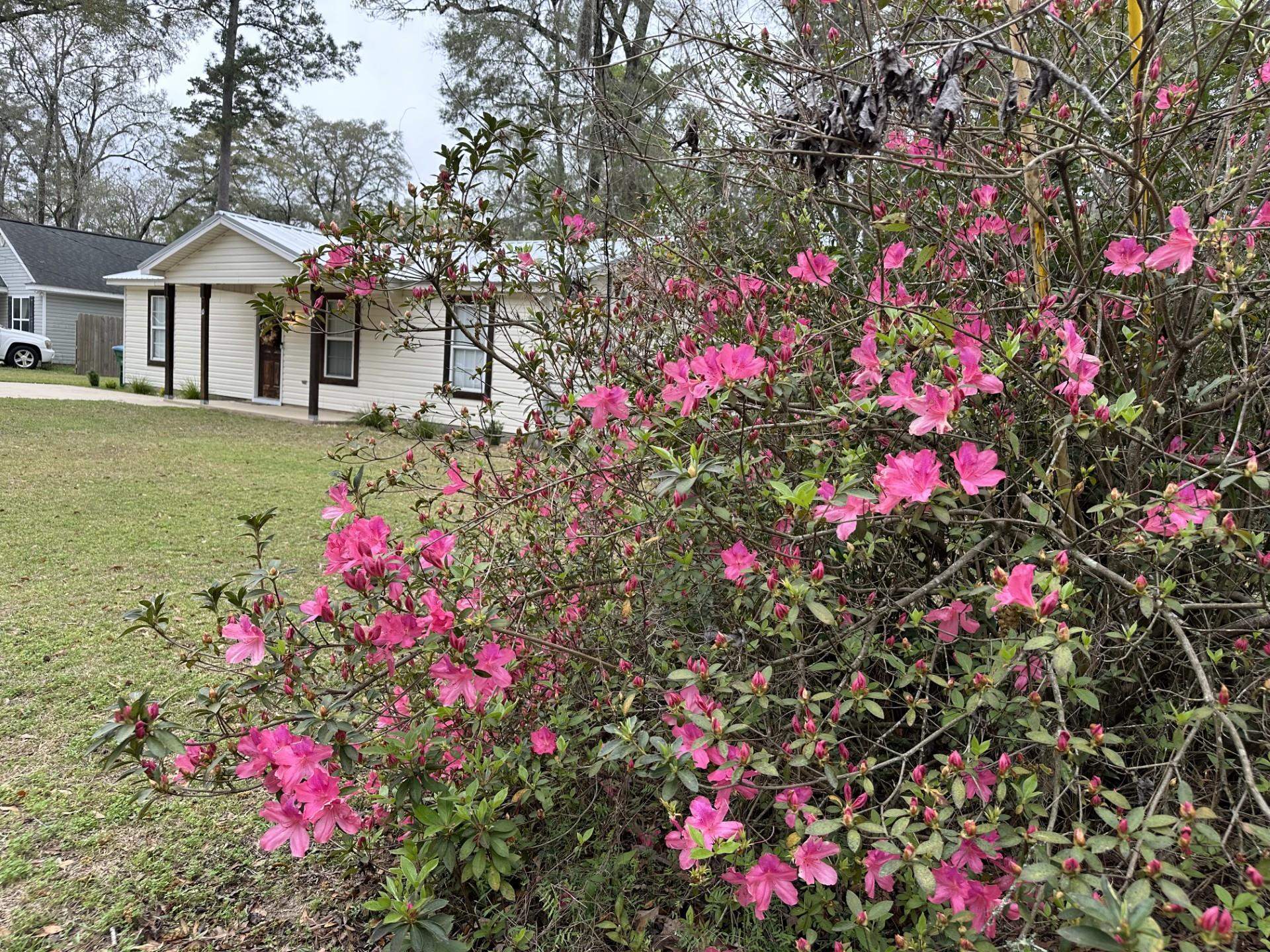 10 Arapaho Trail,CRAWFORDVILLE,Florida 32327,3 Bedrooms Bedrooms,2 BathroomsBathrooms,Detached single family,10 Arapaho Trail,369501