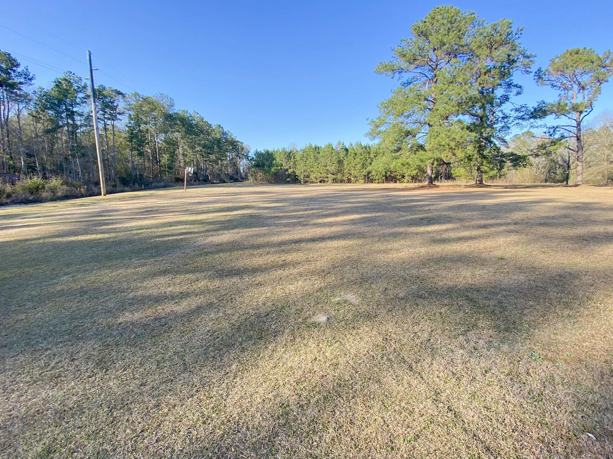 171 Mcgriff Lane,HAVANA,Florida 32333,4 Bedrooms Bedrooms,2 BathroomsBathrooms,Detached single family,171 Mcgriff Lane,369503