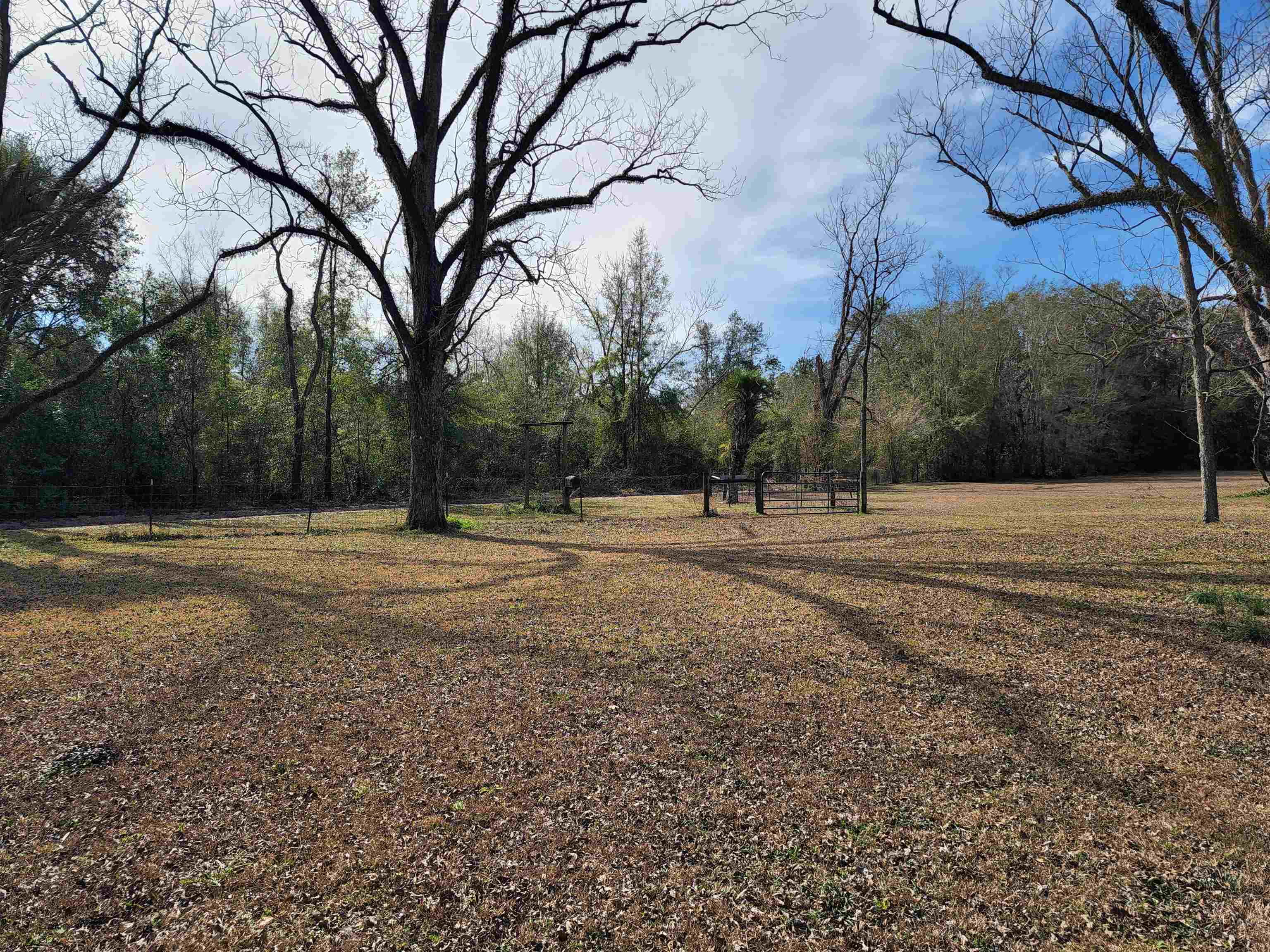 1323 NE Juniper Drive,LEE,Florida 32059,3 Bedrooms Bedrooms,2 BathroomsBathrooms,Detached single family,1323 NE Juniper Drive,368478