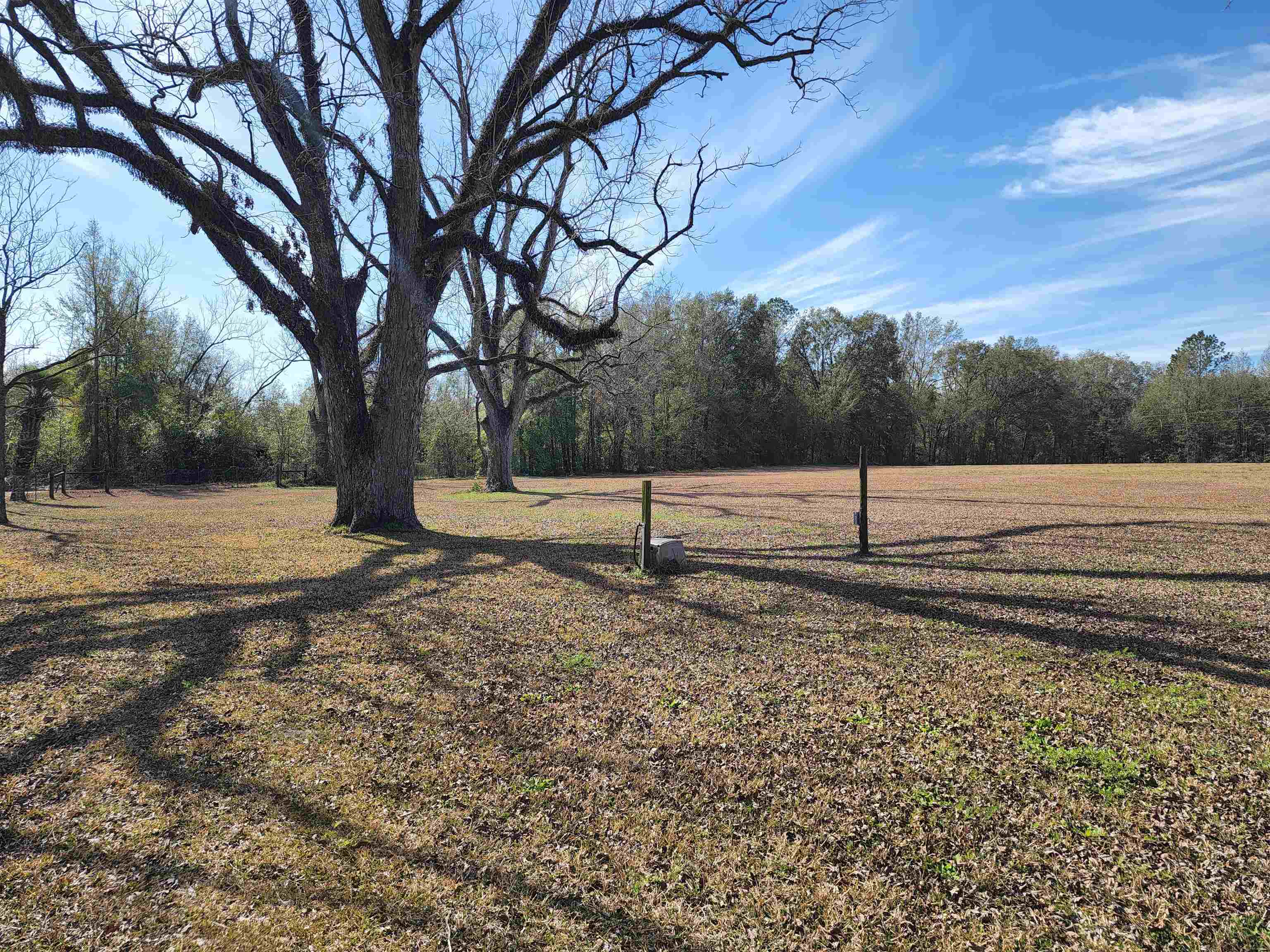 1323 NE Juniper Drive,LEE,Florida 32059,3 Bedrooms Bedrooms,2 BathroomsBathrooms,Detached single family,1323 NE Juniper Drive,368478