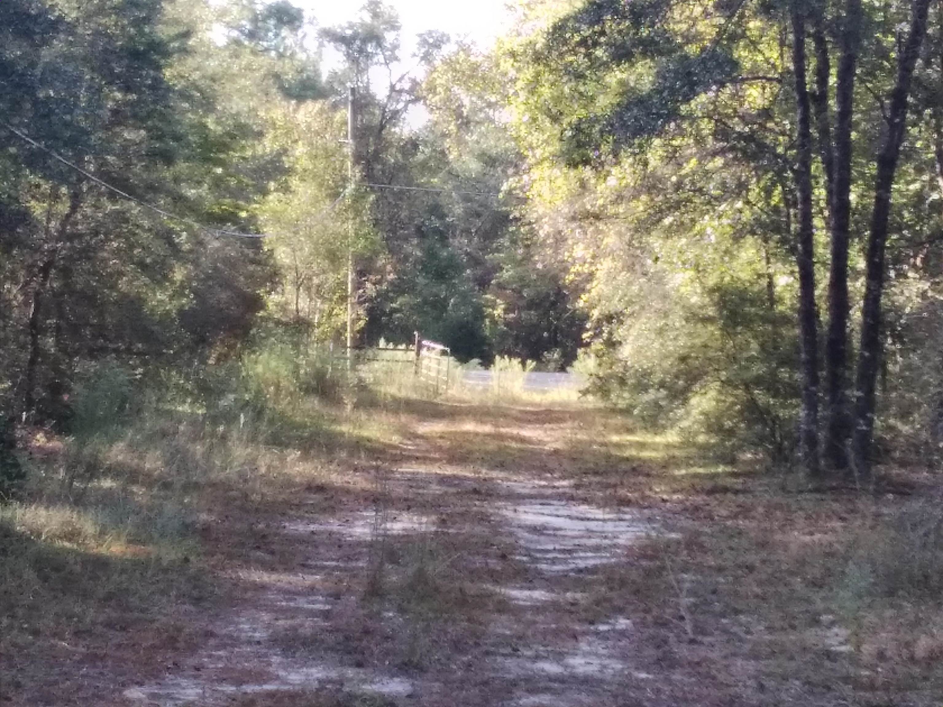 784 Shadeville Road,CRAWFORDVILLE,Florida 32327,2 Bedrooms Bedrooms,1 BathroomBathrooms,Manuf/mobile home,784 Shadeville Road,369516