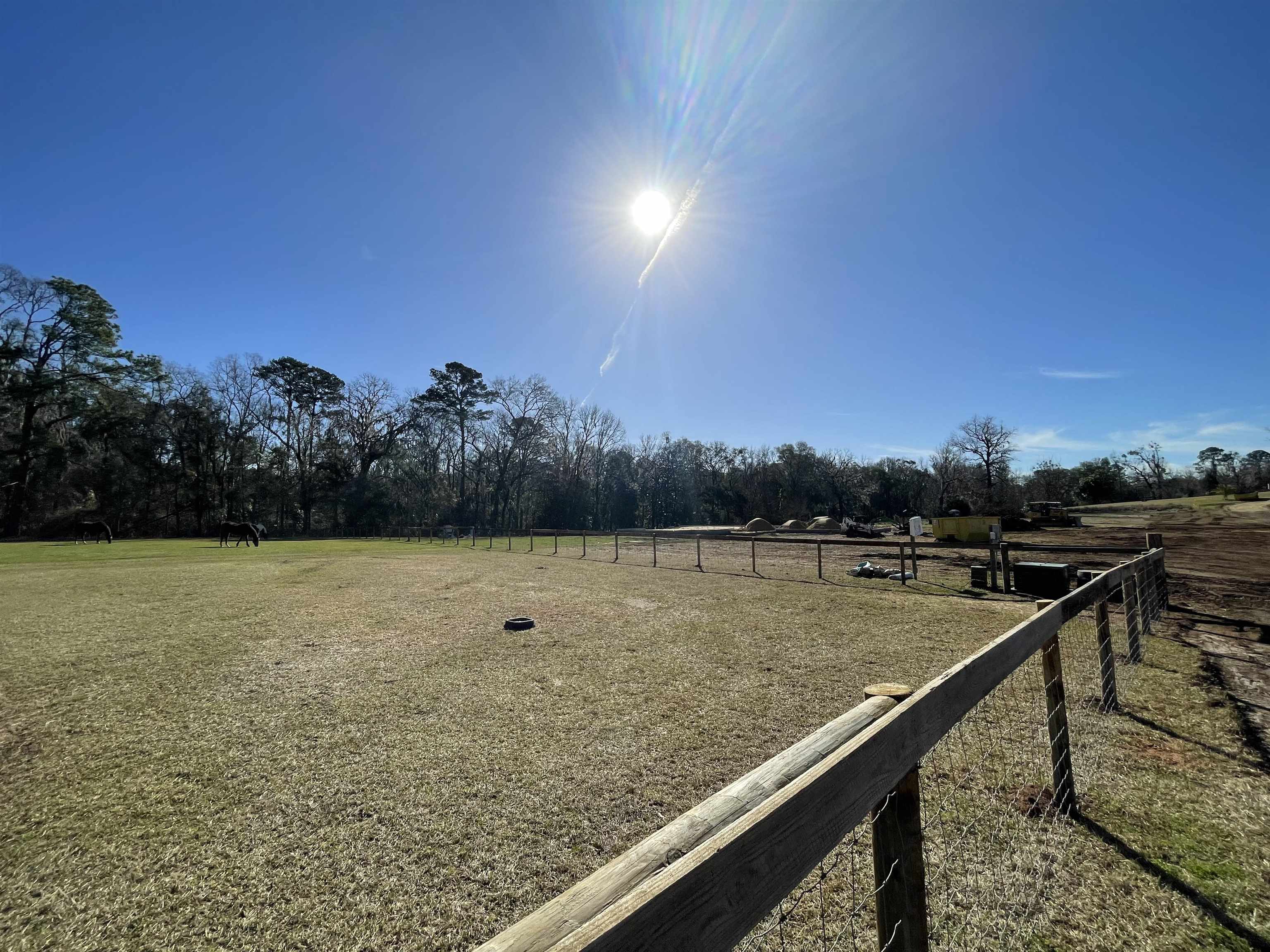 9019 Tabb Lane,TALLAHASSEE,Florida 32317,4 Bedrooms Bedrooms,3 BathroomsBathrooms,Detached single family,9019 Tabb Lane,368496