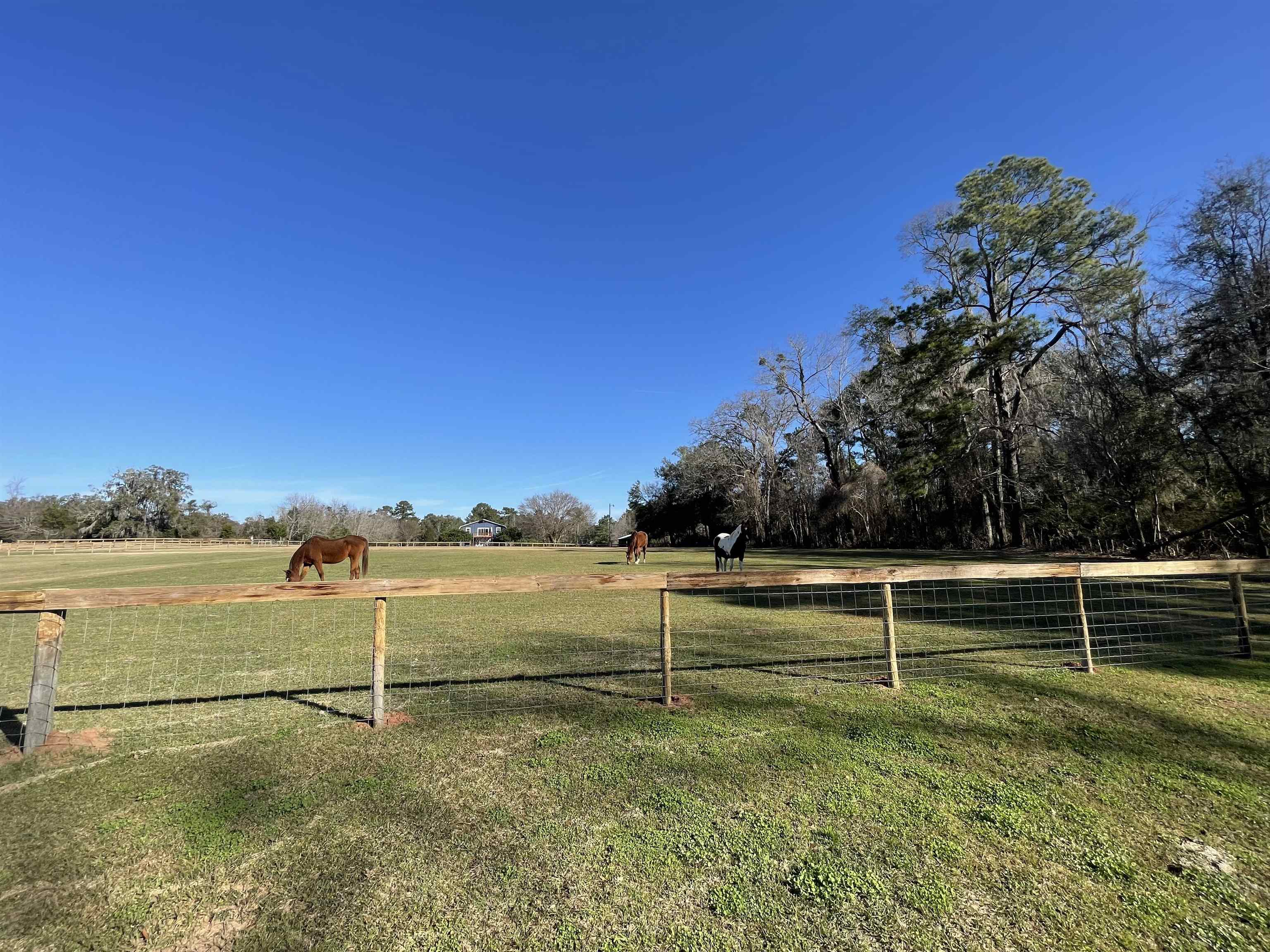 9019 Tabb Lane,TALLAHASSEE,Florida 32317,4 Bedrooms Bedrooms,3 BathroomsBathrooms,Detached single family,9019 Tabb Lane,368496