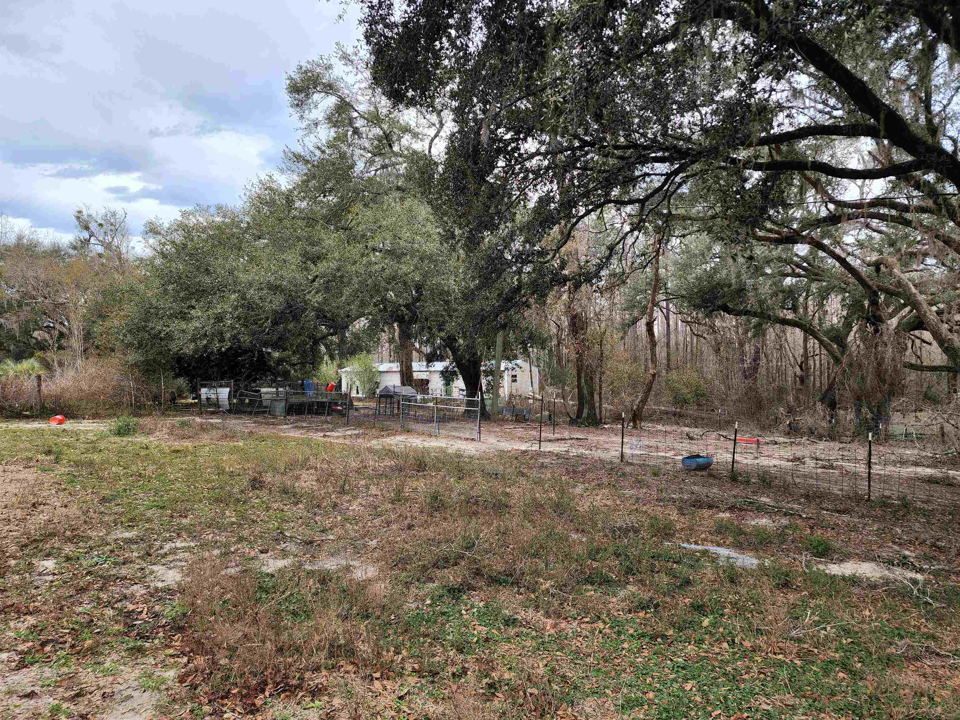 2350 NE Fern Avenue,Pinetta (Madison County),Florida 32350,3 Bedrooms Bedrooms,2 BathroomsBathrooms,Manuf/mobile home,2350 NE Fern Avenue,367809