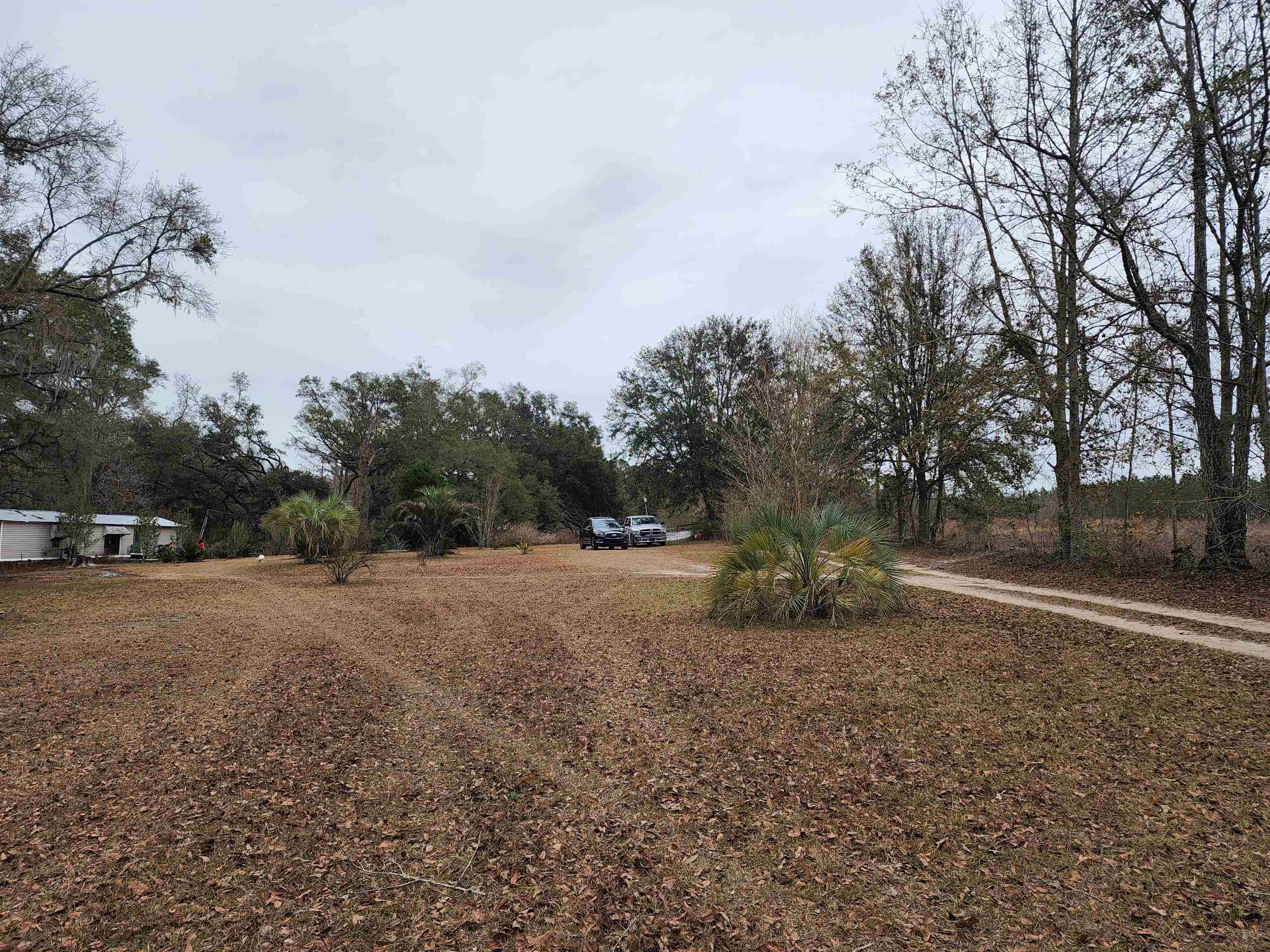 2350 NE Fern Avenue,Pinetta (Madison County),Florida 32350,3 Bedrooms Bedrooms,2 BathroomsBathrooms,Manuf/mobile home,2350 NE Fern Avenue,367809