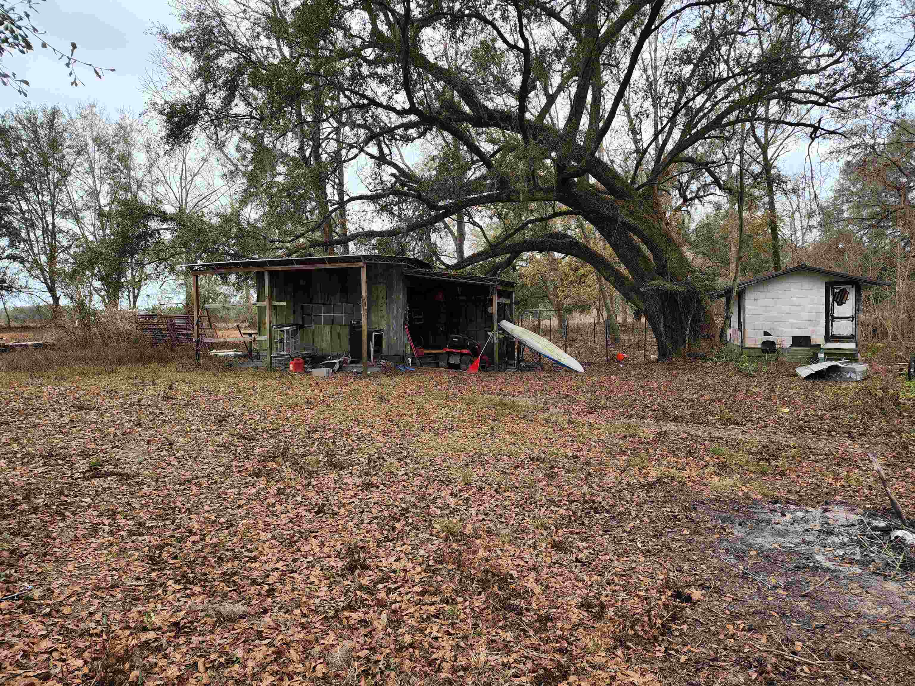 2350 NE Fern Avenue,Pinetta (Madison County),Florida 32350,3 Bedrooms Bedrooms,2 BathroomsBathrooms,Manuf/mobile home,2350 NE Fern Avenue,367809