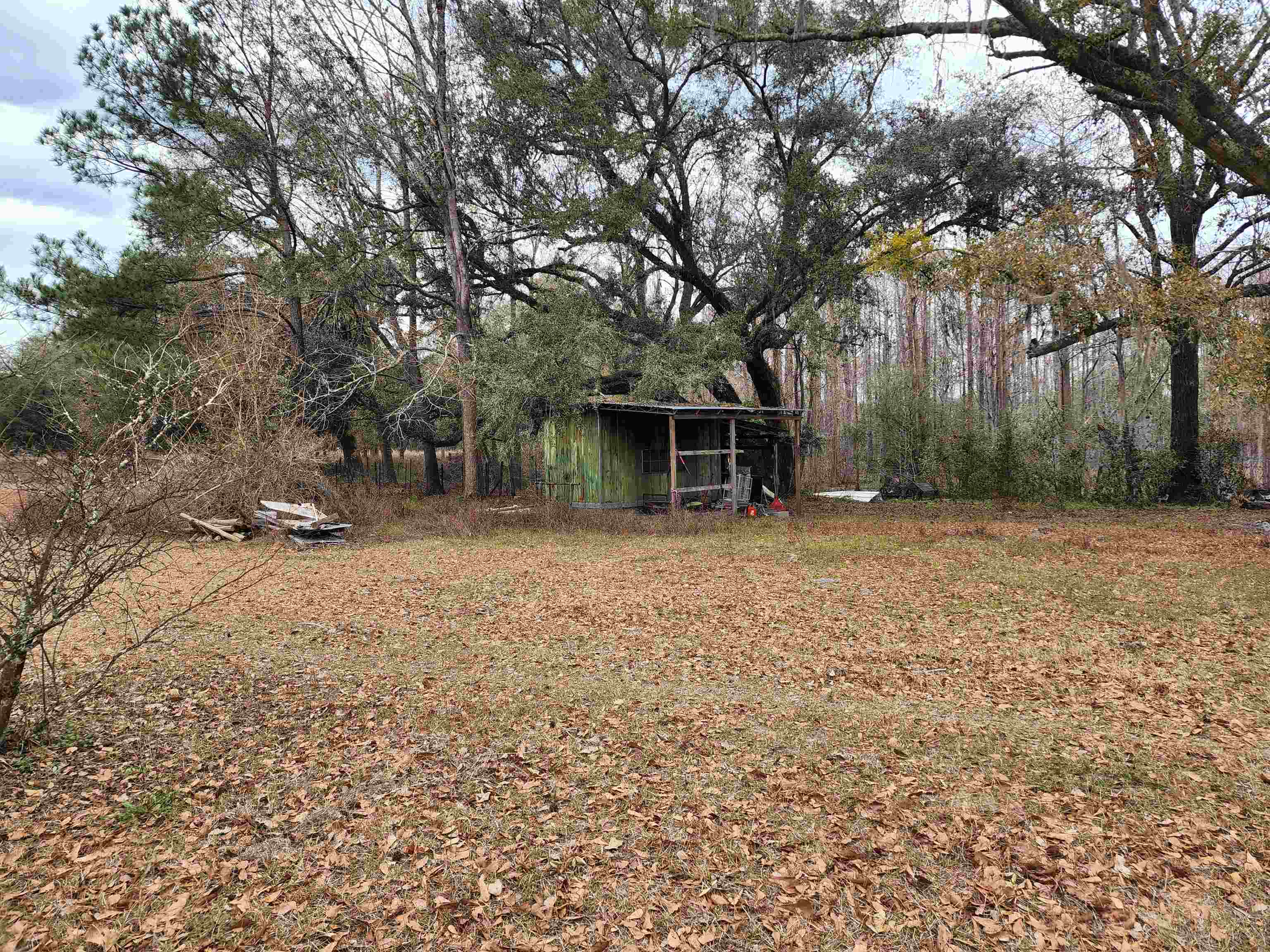 2350 NE Fern Avenue,Pinetta (Madison County),Florida 32350,3 Bedrooms Bedrooms,2 BathroomsBathrooms,Manuf/mobile home,2350 NE Fern Avenue,367809