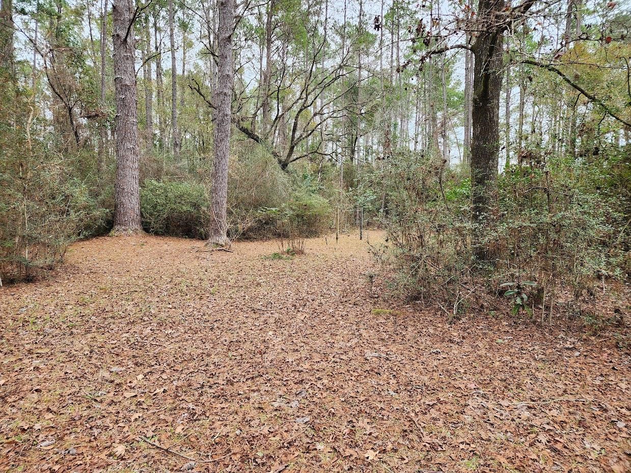 78 Nancy Allen Street,CRAWFORDVILLE,Florida 32327,3 Bedrooms Bedrooms,2 BathroomsBathrooms,Manuf/mobile home,78 Nancy Allen Street,367827