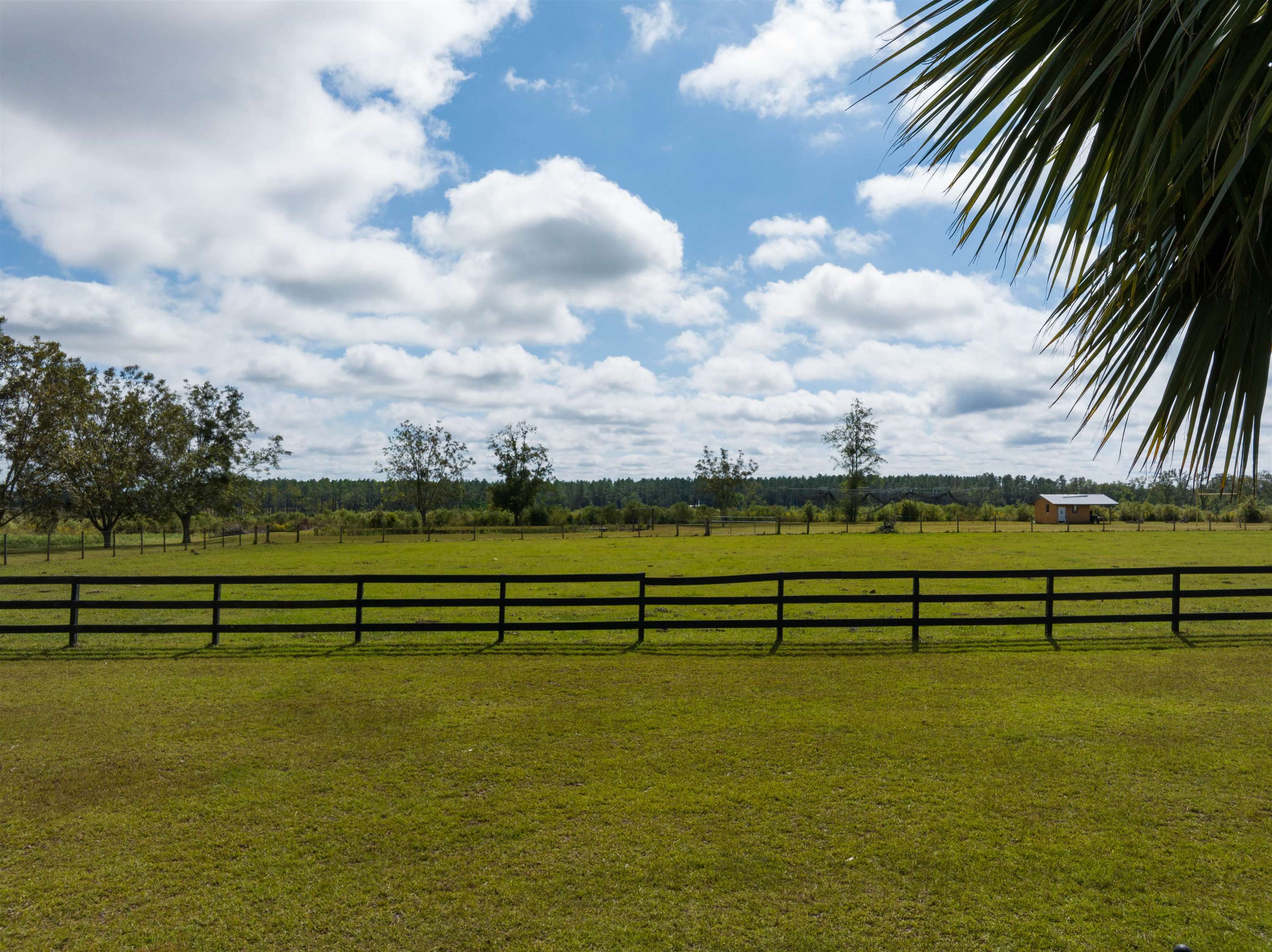 5056 NE SR 6,LEE,Florida 32059,3 Bedrooms Bedrooms,2 BathroomsBathrooms,Detached single family,5056 NE SR 6,364668