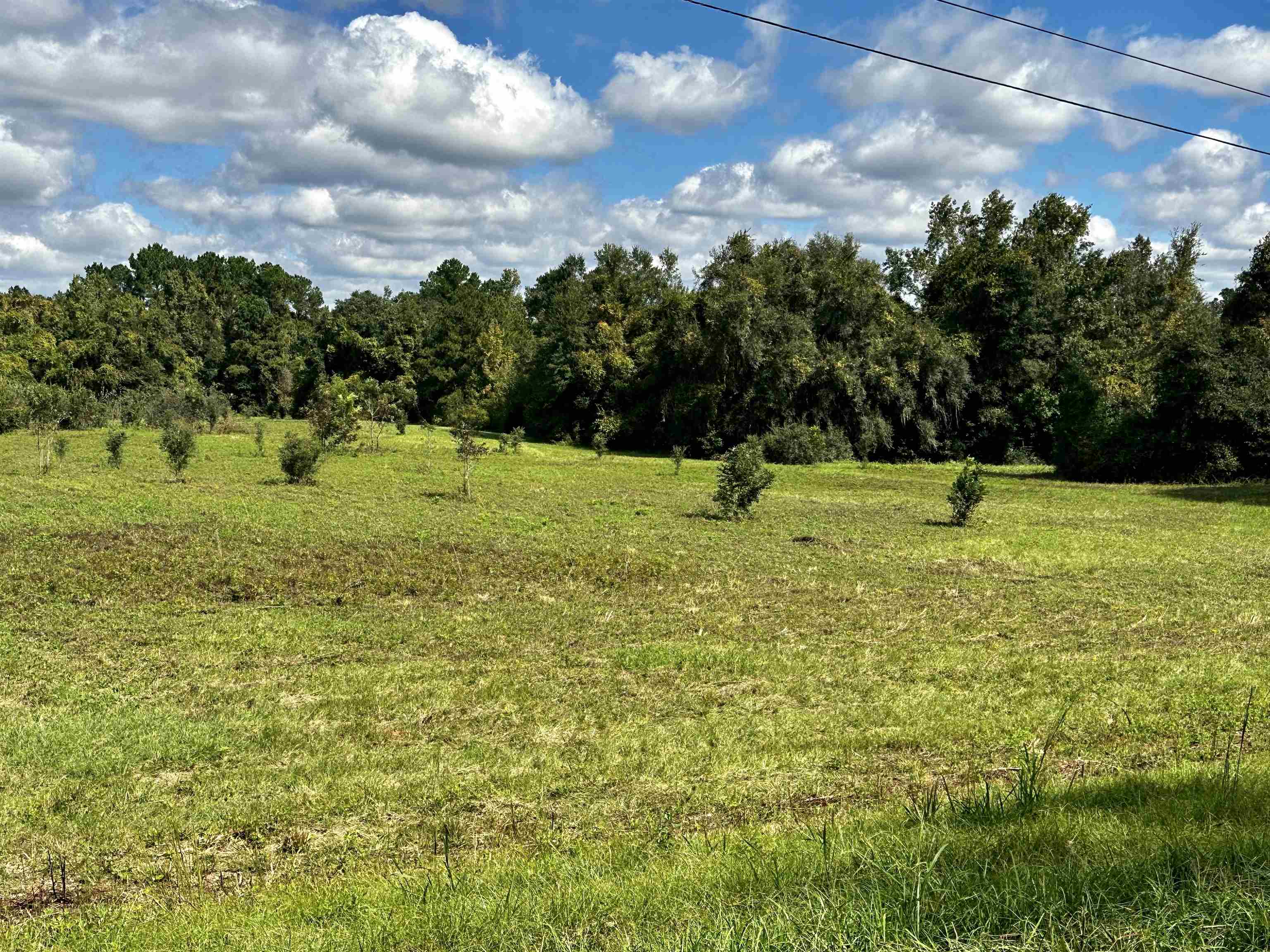 10481 Ashville Highway,GREENVILLE,Florida 32331,2 Bedrooms Bedrooms,1 BathroomBathrooms,Detached single family,10481 Ashville Highway,364686