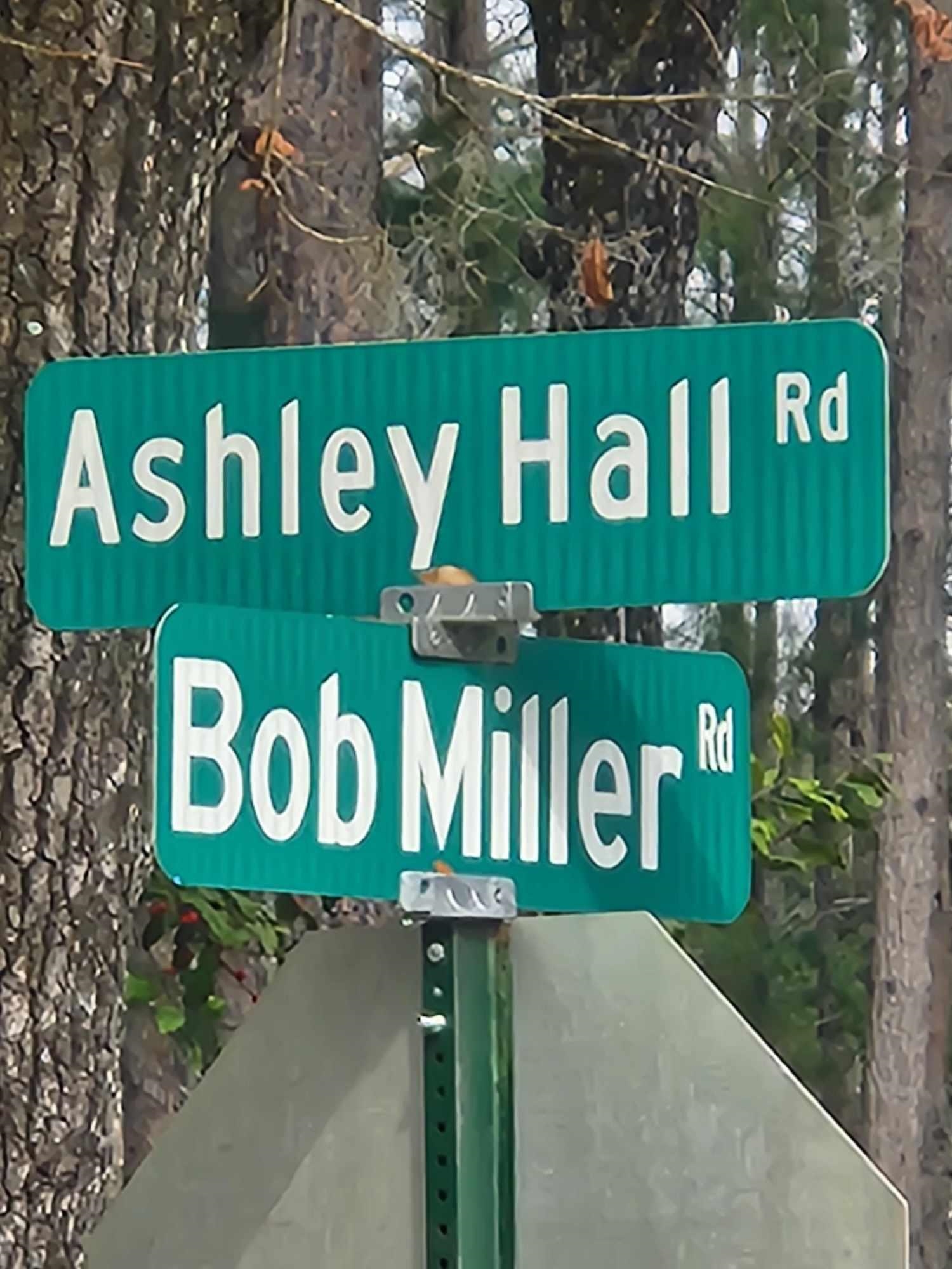 190 Ashley Hall Road,CRAWFORDVILLE,Florida 32327,3 Bedrooms Bedrooms,2 BathroomsBathrooms,Manuf/mobile home,190 Ashley Hall Road,369139