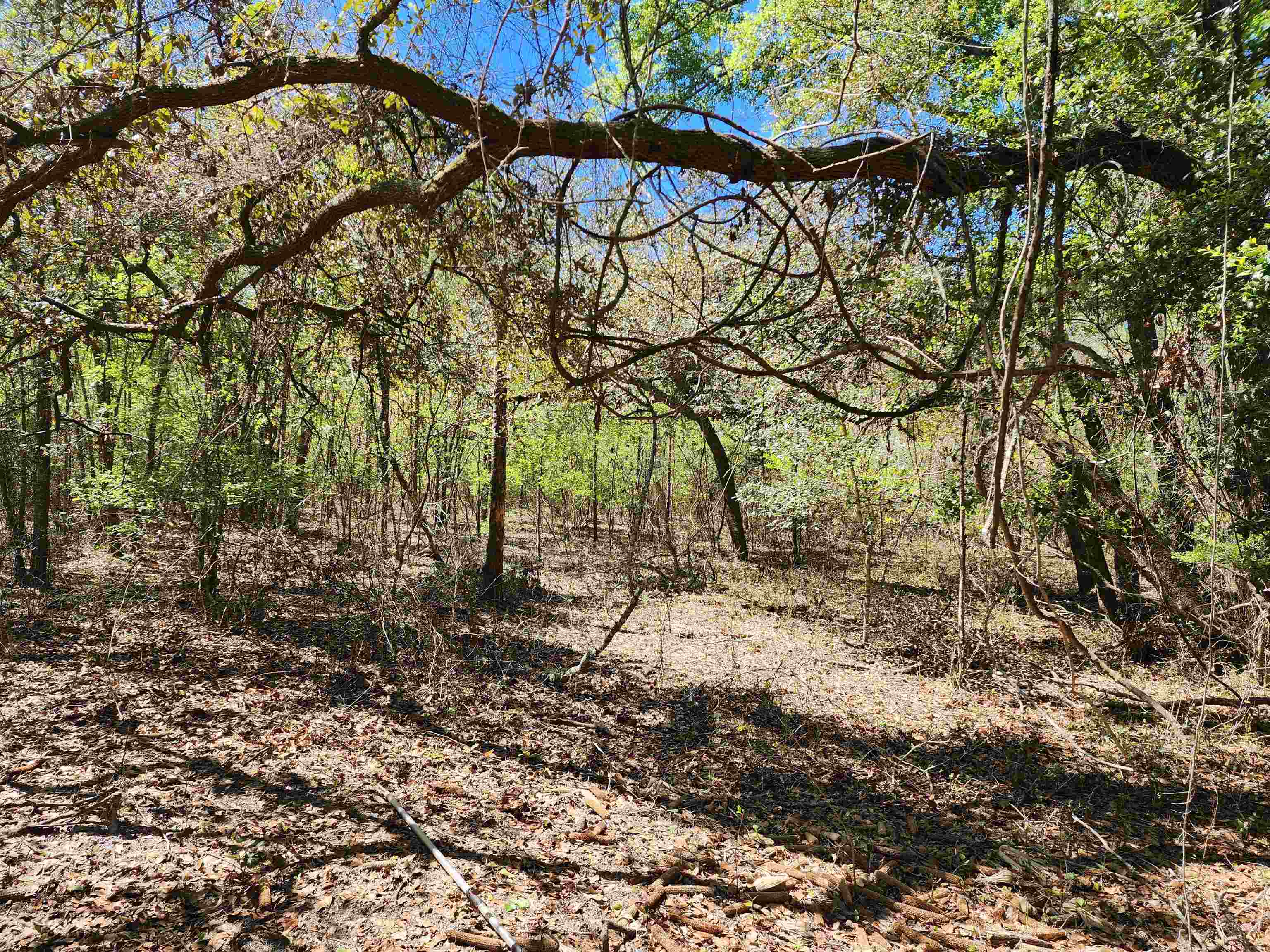 00 S. River Bend,Pinetta (Madison County),Florida 32350,Lots and land,S. River Bend,369966