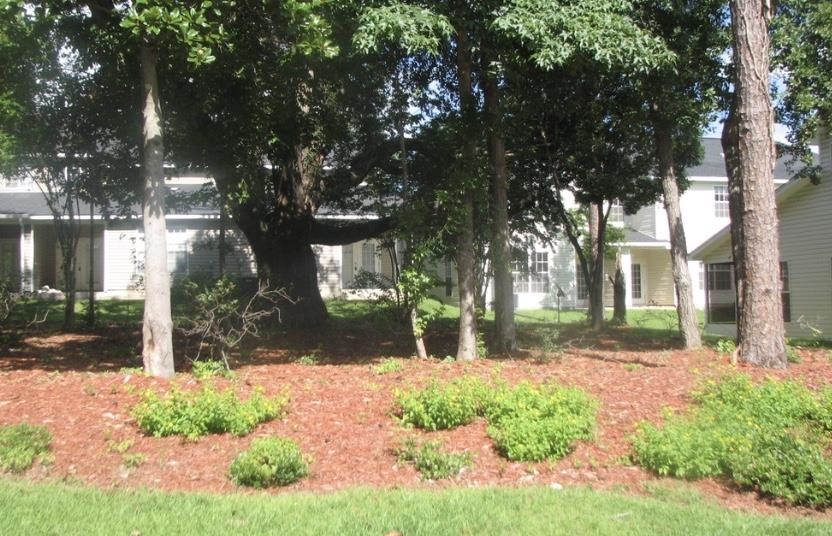 1575 Paul Russell,TALLAHASSEE,Florida 32301,Lots and land,Paul Russell,1401,369998