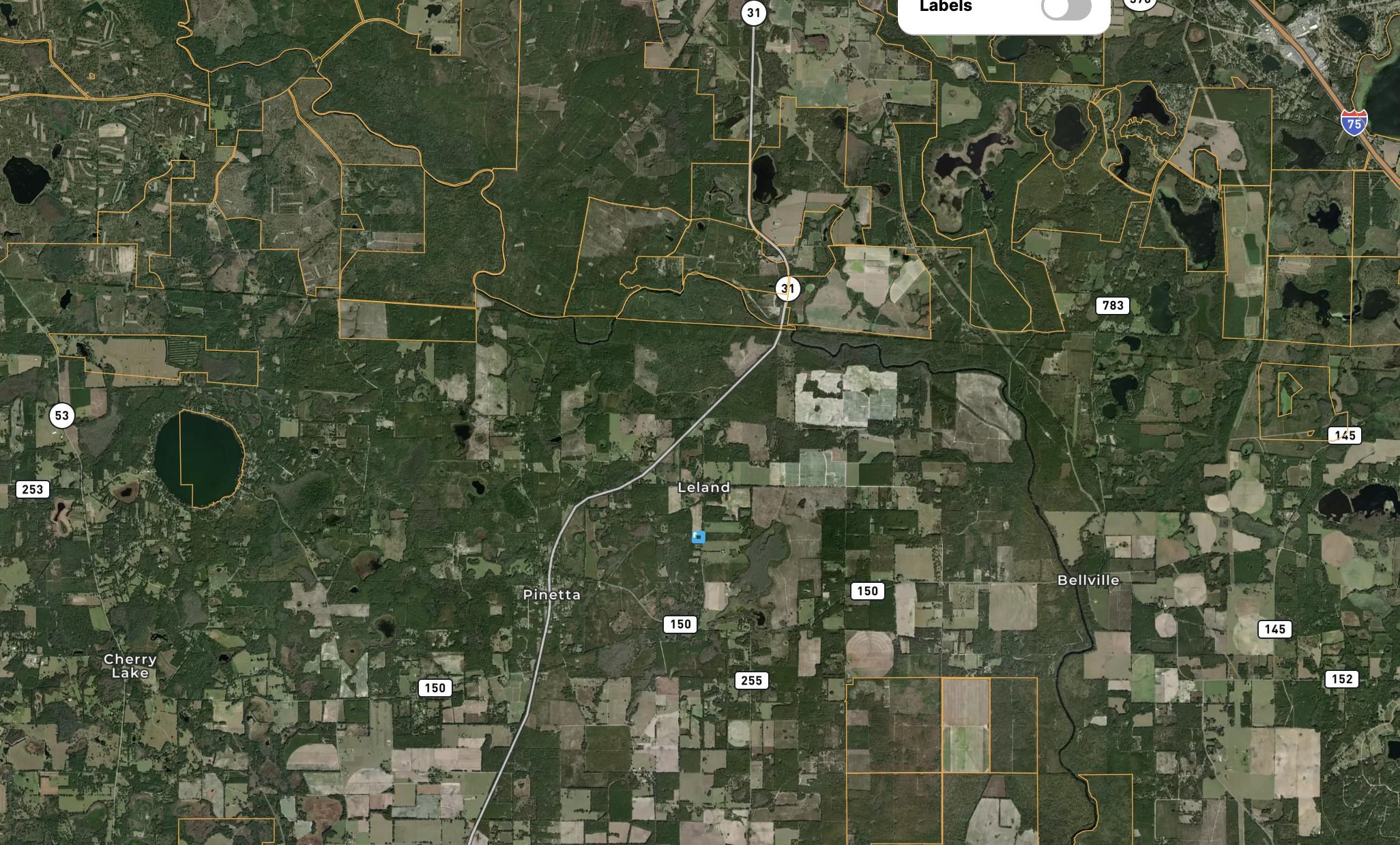 Vacant Raspberry,Pinetta (Madison County),Florida 32350,Lots and land,Raspberry,370129