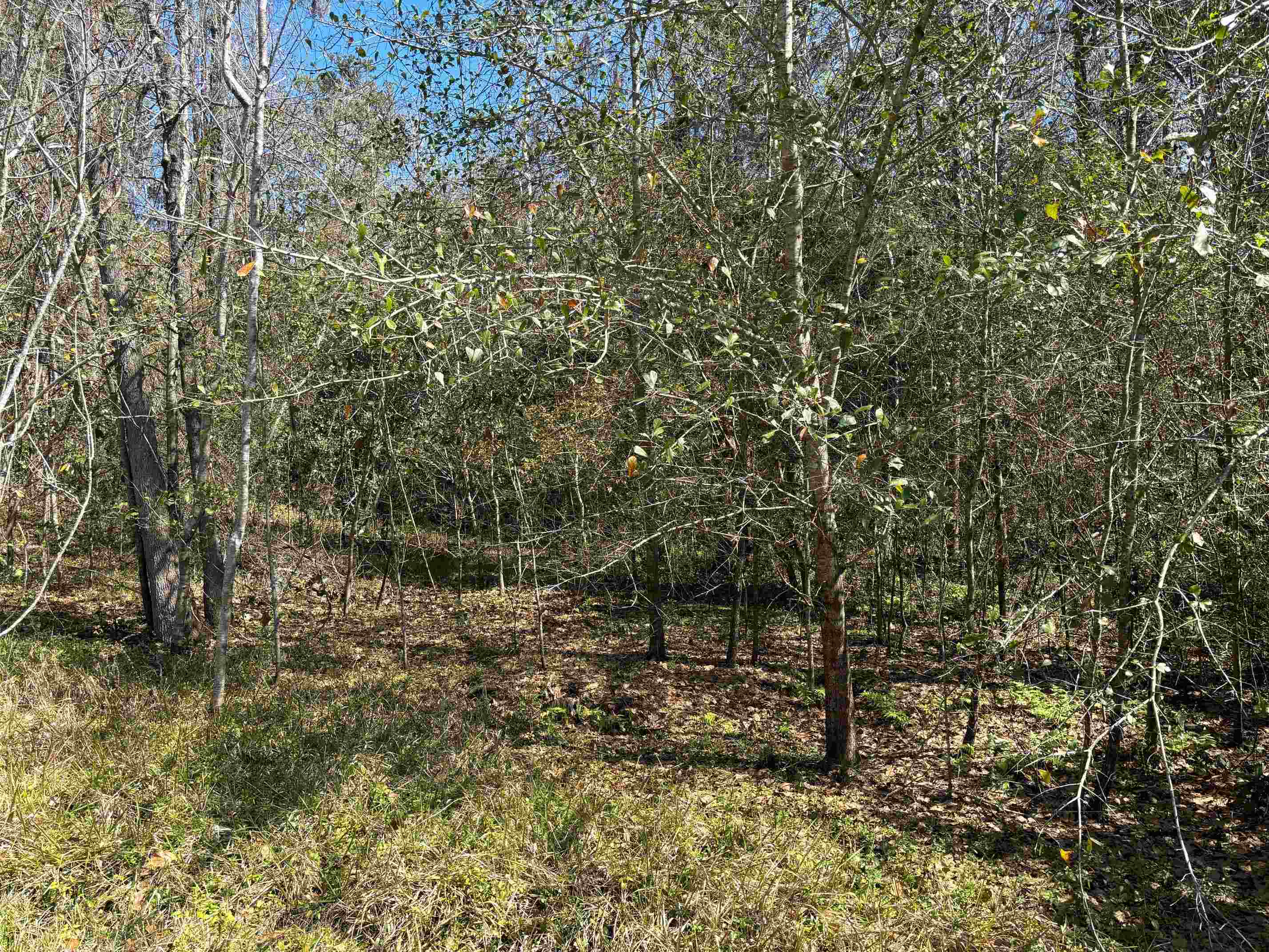 414 Tharpe,QUINCY,Florida 32351,Lots and land,Tharpe,370130