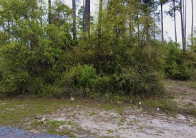 3483 Firefly Circle,ST TERESA,Florida 32358,Lots and land,Firefly Circle,370142
