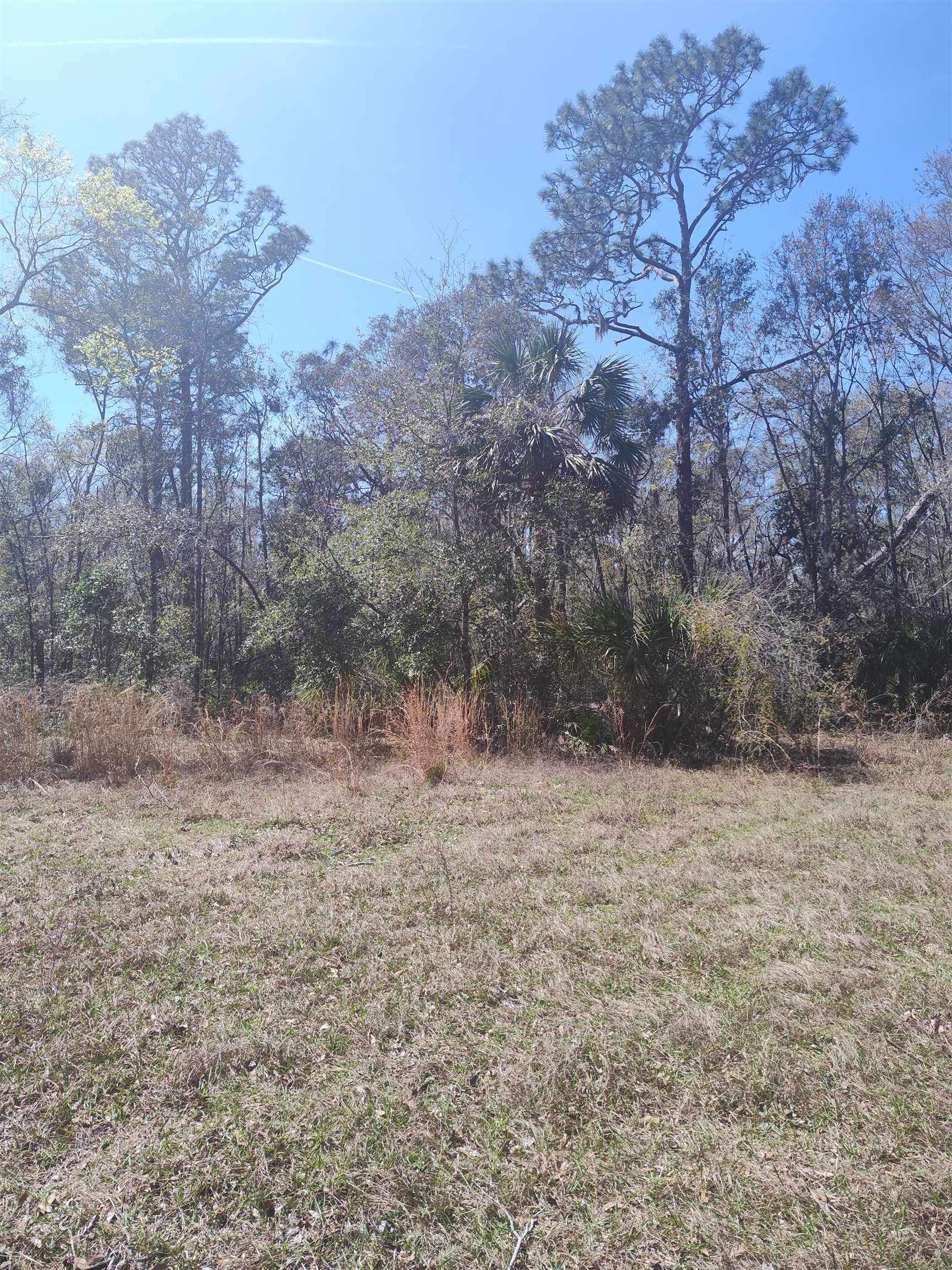 000 Strickland Landing Ct,PERRY,Florida 32348,Lots and land,Strickland Landing Ct,370154