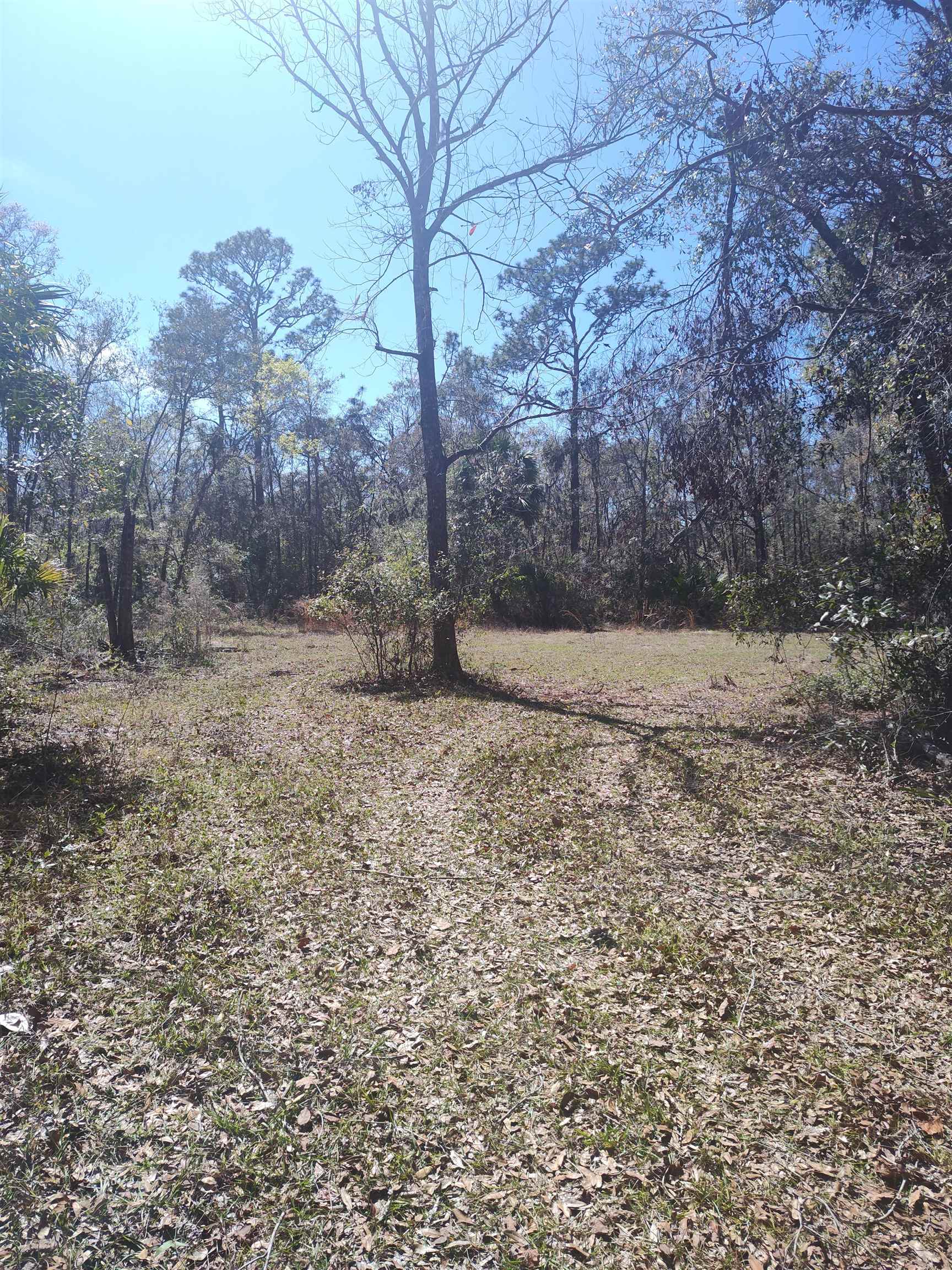 000 Strickland Landing Ct,PERRY,Florida 32348,Lots and land,Strickland Landing Ct,370154